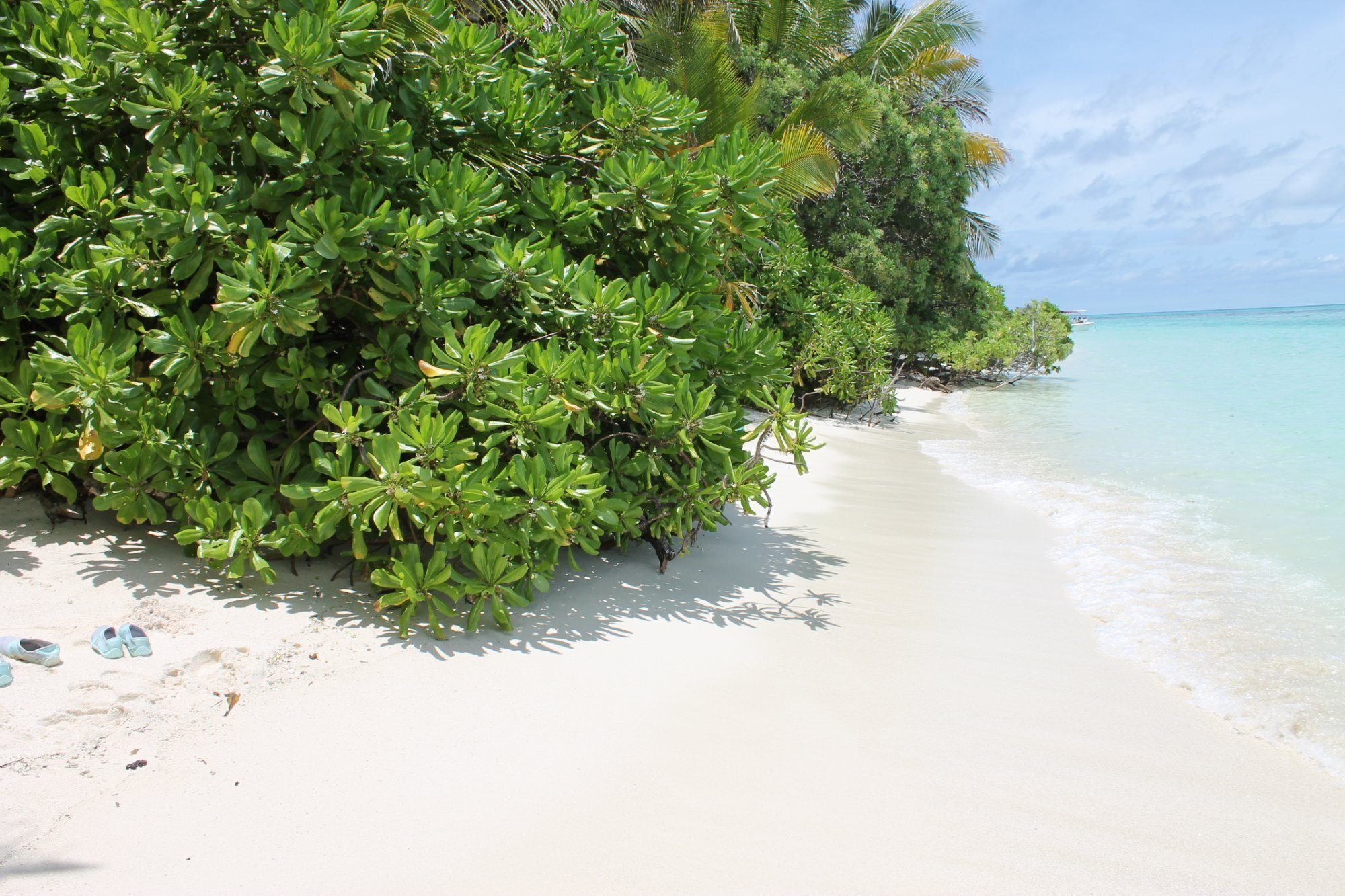 Картинка Evila Inn Thoddoo 1*